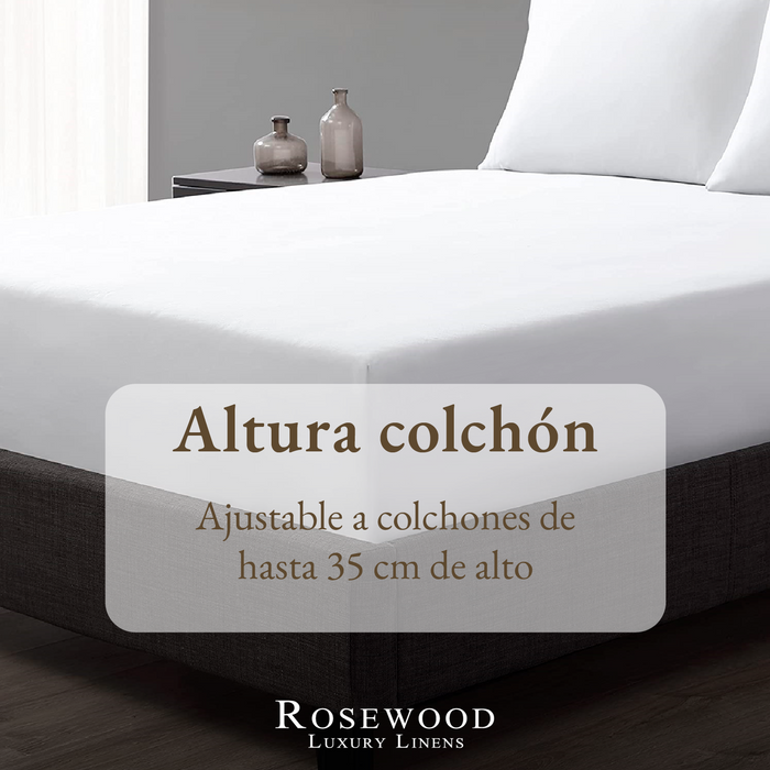 png_1500x1500_65437383