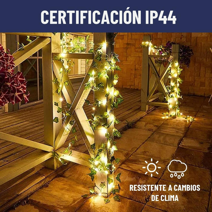 jpg_1500x1500_62128473