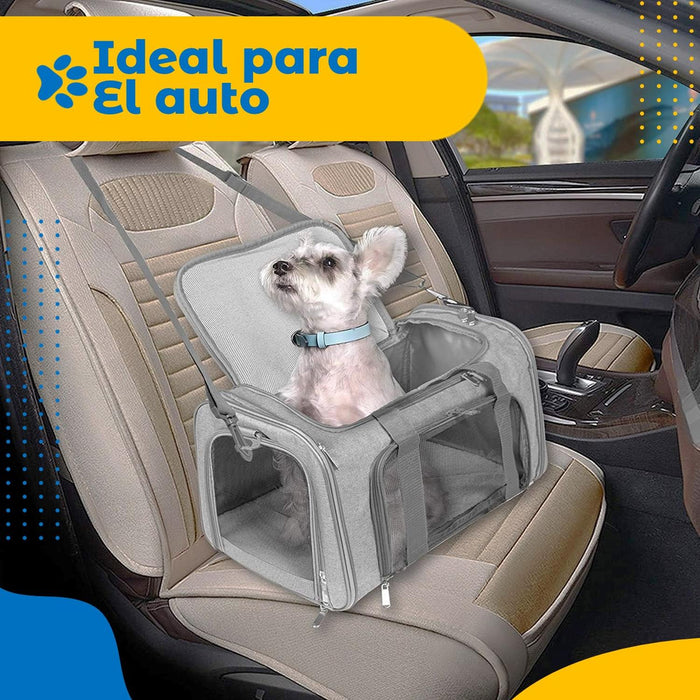 JPG_1500x1500_65913564