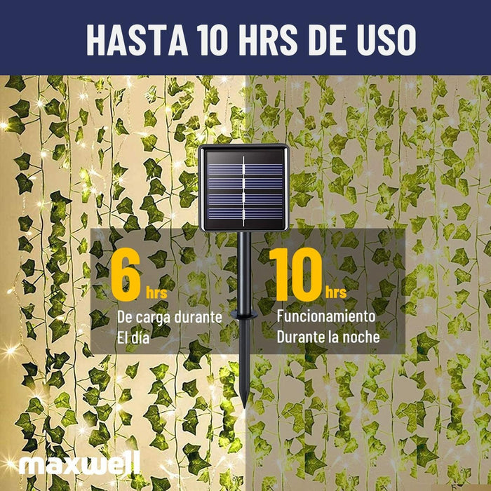 jpg_1500x1500_62128474