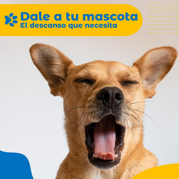 jpg_1500x1500_62131042