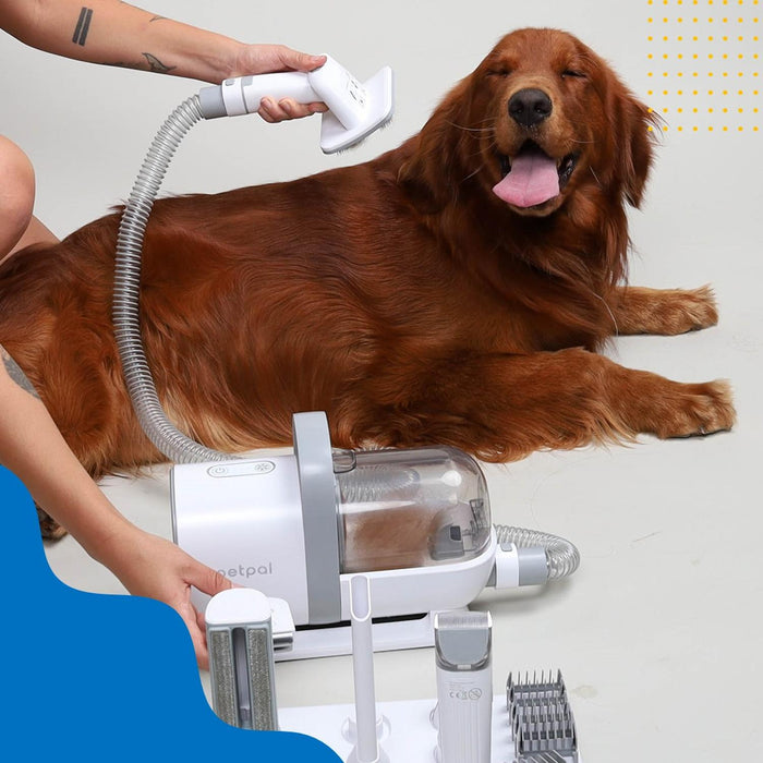 JPG_1500x1500_62998073