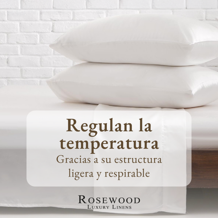 png_1500x1500_65666706