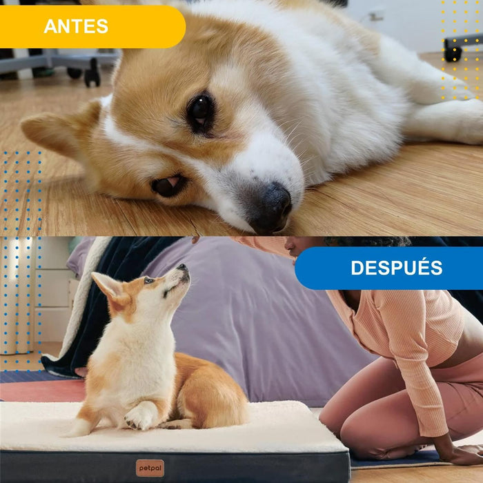 jpg_1500x1500_62127867