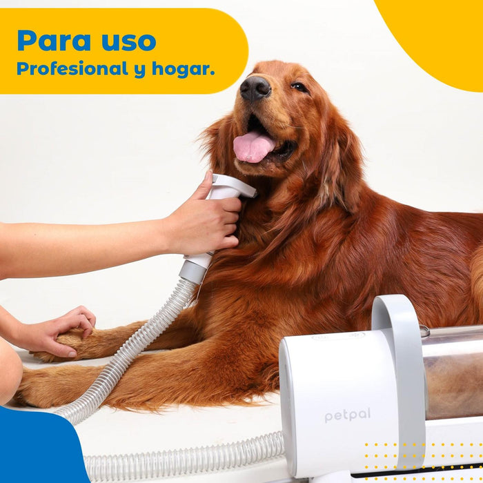 JPG_1500x1500_62998069