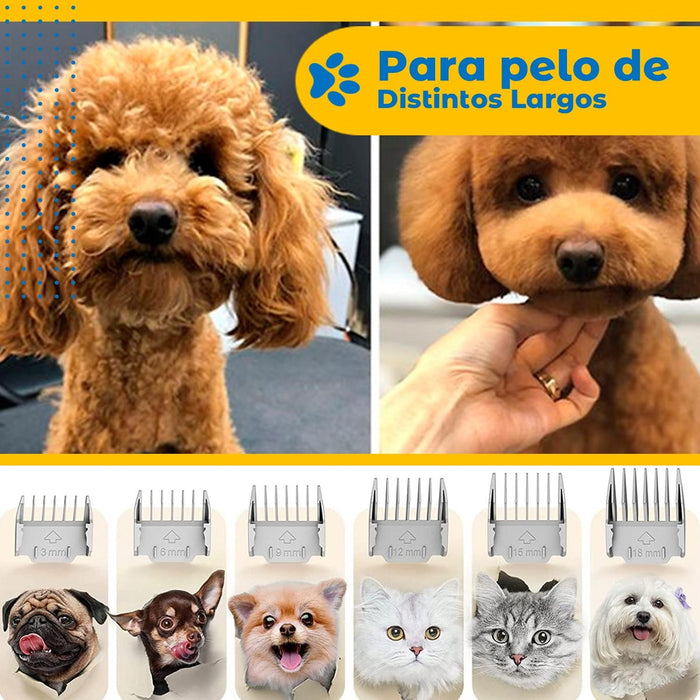 JPG_1500x1500_62998068