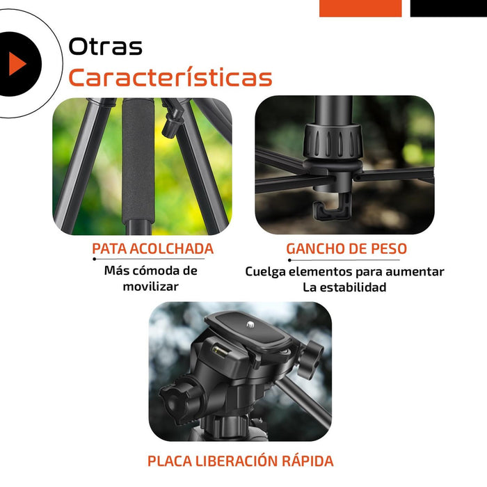 JPG_1500x1500_65315185